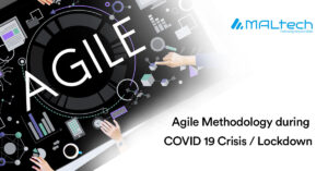 Read more about the article Agile Methodology during COVID-19 Crisis / Lockdown